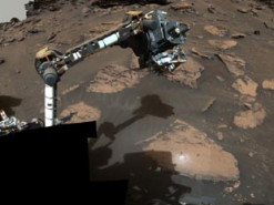 Науковий прорив NASA: марсохід Perseverance виявив потенційне джерело життя на Марсі