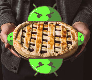 Google раскрыла кодовое название Android 14