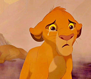 Реакция пса на сцену из мультфильма «Король Лев» растрогала соцсети
