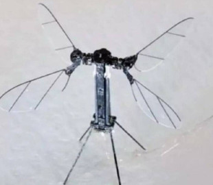 Китай створив дрон розміром із комара для військових цілей