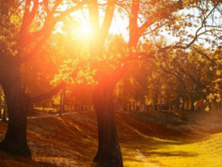 Гороскоп на 6 вересня для всіх знаків зодіаку: день потужної позитивної енергетики