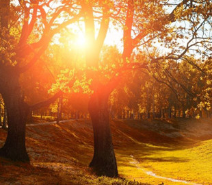 Гороскоп на 6 вересня для всіх знаків зодіаку: день потужної позитивної енергетики