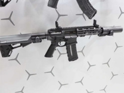 Індійські розробники представили новий бойовий карабін Raptor .300 Blackout