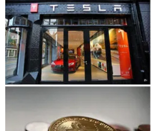 Tesla потеснили со второго места по количеству биткоинов: кто обошел Маска