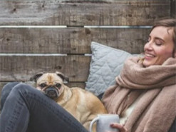 Любителям собак. У США запустили незвичайний застосунок для знайомств