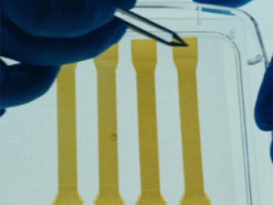 Світовий рекорд. Конкуренти Маска розмістили в мозку людини неймовірні 4 тисячі електродів