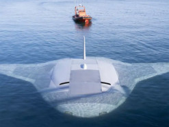 Масивний підводний дрон Manta Ray виявили на супутникових знімках на базі ВМС США