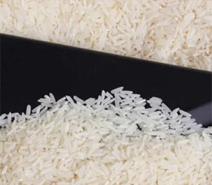 Смартфон у рисі та зубна паста на екрані. 5 небезпечних міфів, що вбивають вашу техніку