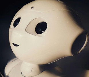 Бюджетний Android замість "мозку": як смартфон керує роботом PhoneBot