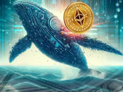 Кількість Ethereum-китів зросла на тлі стрибка активності в мережі