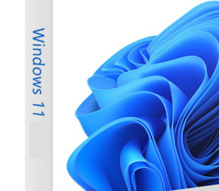 Компанія Microsoft випустила версію Windows 11 для старих і слабких комп’ютерів