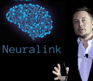 Илон Маск подтвердил, что Neuralink начнет имплантацию мозговых чипов к 2022 году