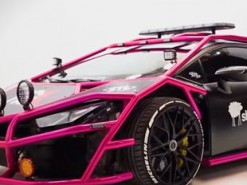 Ради просмотров на YouTube блогер изувечил спорткар Lamborghini