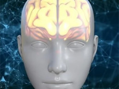 Навчався на 10 млн рішень. У Німеччині створили ШІ, який думає як люди