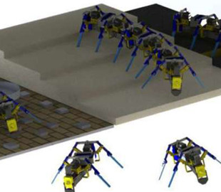 У США винайшли роботів-комах: що вони роблять