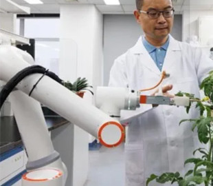 Китай представив робота GEAIR для автоматизації гібридної селекції рослин