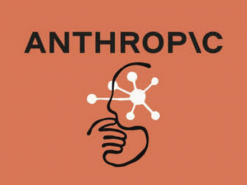 Anthropic стверджує, що її ШІ моделі порушили безпеку трьох компаній під час тестів