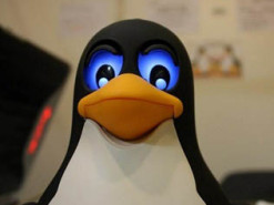 Брешь в Linux и macOS превращает любого пользователя в админа системы