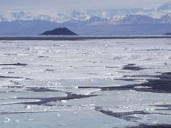 Вчені виявили в Антарктиді ДНК віком 1 мільйон років