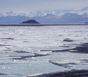 Вчені виявили в Антарктиді ДНК віком 1 мільйон років