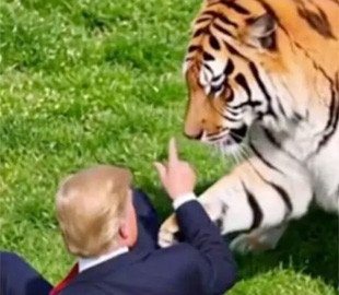 Трамп опублікував ШІ-відео з тигром, який убив британця: родина обурена