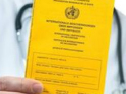 Купила за 500 грн: в Ривненской области школьную техработницу будут судить за липовый COVID-сертификат