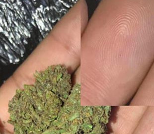 Продавец наркотиков в США "спалился", выкладывая в интернет фото товара на ладони