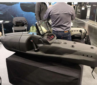 Розкриті технічні характеристики німецького підводного дрона Black Shadow