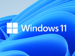 Windows 11 уже установлена почти на 1% ПК