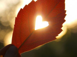 Гороскоп на 6 жовтня для всіх знаків зодіаку: день, коли треба ходити на романтичні побачення