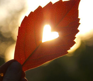 Гороскоп на 6 жовтня для всіх знаків зодіаку: день, коли треба ходити на романтичні побачення