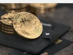 Криптовалютні експерти підрахували щоденний прибуток власників біткоїна