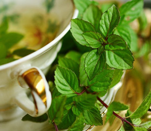 Лікарі розповіли, чому не радять чоловікам вживати м’яту