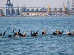 Українцям розповіли, коли Чорне море стане безпечним для відпочиваючих