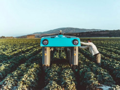 Alphabet відмовляється від стартапу Mineral robot-agriculture