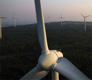 Польща обмежує виробництво вітрових і сонячних електростанцій через надлишок