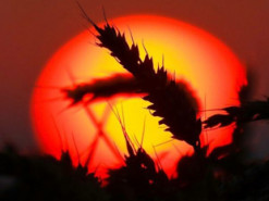 Гороскоп на 20-21 серпня для всіх знаків зодіаку: дні грандіозних звершень