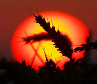 Гороскоп на 20-21 серпня для всіх знаків зодіаку: дні грандіозних звершень