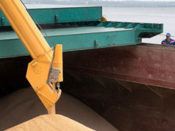 Викрадення українського зерна. Двом капітанам російських кораблів оголосили підозру