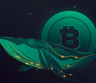 Великий власник криптовалюти раптово позбувся $ 230 мільйонів у біткоїнах після 6 років бездіяльності