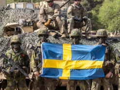 Швеція закупить у Польщі ПЗРК Piorun на близько $320 тисяч