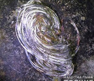 Поліція затримала чоловіка, який пошкодив телефонну мережу і викрав 30 метрів кабелю