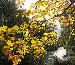 В Україні похолодає та прийдуть дощі: прогноз погоди на 4 жовтня