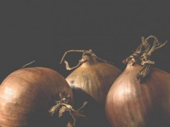 Сотни вредоносных узлов Tor используются для деанонимизации пользователей