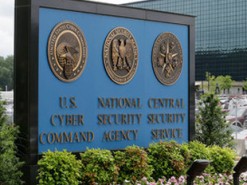 Укравший секреты США «новый Сноуден» согласился на тюрьму