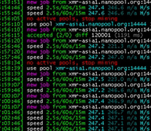 Определены самые активные вредоносные программы