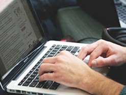 В Беларуси растет число ликвидированных IT-компаний