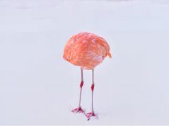 Фотограф-людина переміг ШІ  своїм мистецтвом