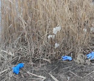 59-річного чоловіка побили та втопили заради мобільного телефону