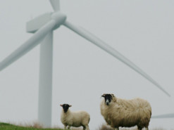 Світовий перехід на відновлювану енергію пробуксовує: у Британії теж не виходить
